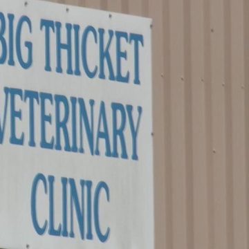 Two dogs die from routine procedures at the same New Caney clinic on the same day