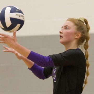 VOLLEYBALL: Willis aiming for playoffs after jump to Class 6A