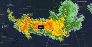 TREES DOWN SORTERS ROAD