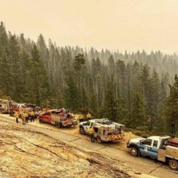 CALIFORNIA FIRE UPDATE-LOCAL DEPARTMENTS ON SCENE