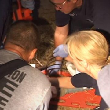 VIDEO STORIES FROM OCTOBER 2ND OF YEARS PAST