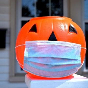 Best Conroe-Montgomery County-Area Pumpkin Patches 2020