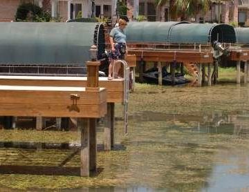 State says hydrilla has returned to Lake Conroe