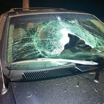 INTOXICATED DRIVER TAKES HIMSELF OFF THE ROAD