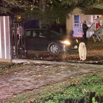 PURSUIT JUST ENDED IN SPLENDORA