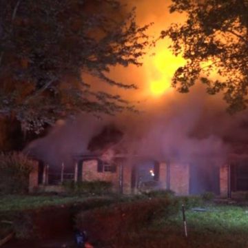 VIDEO STORIES FROM NOVEMBER 19TH OF YEARS PAST