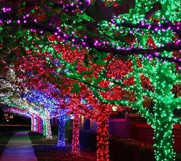 img_5fb7cfcaaa5c1 Woodforest Merry & Bright Tour of Lights to Feature 3 Miles of Lights