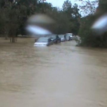 THE CONSEQUENCES OF THE COLONIA