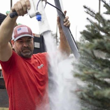 Michigan Christmas Trees