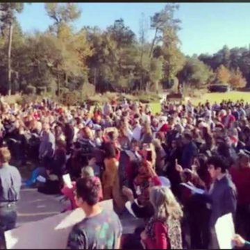 Protest over COVID restrictions draws hundreds to Woodlands park