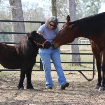 GUIDE: 14 ways to give back in Conroe, Montgomery