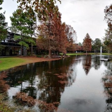 Filing begins Dec. 31 for 100-plus positions on The Woodlands committees, associations