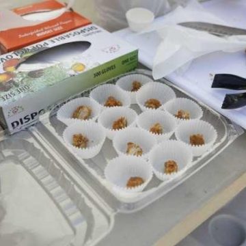 New Woodlands Square Market debuts on FM 1488