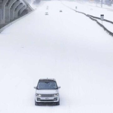 What to do with free-damaged plants