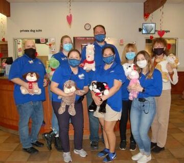 Local PetSmart stores partner with Children’s Safe Harbor for a warm and fuzzy give back for victims of trauma