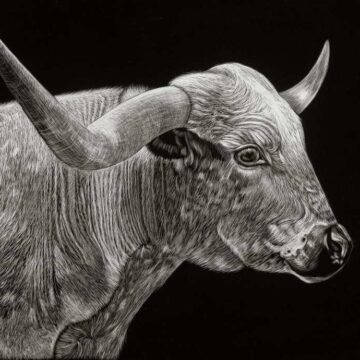 Conroe Art League overcomes damage from winter storm