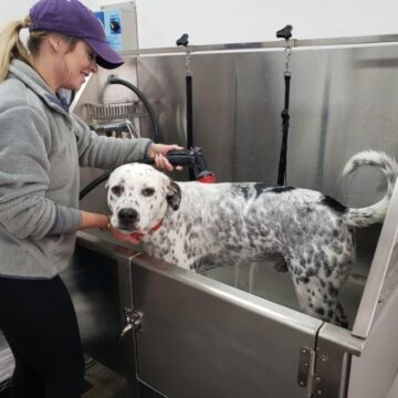 New pet store, wellness clinic: 4 business happenings in Conroe, Montgomery, Willis