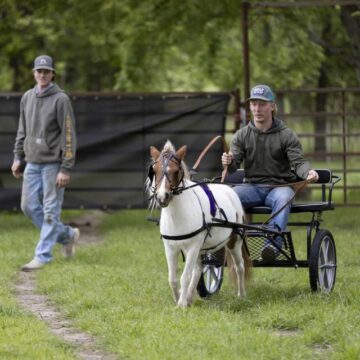 P-6 Farms welcomes Easter crowd with new mini horse races