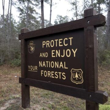 Man arrested after woman says he chased her while naked in Sam Houston National Forest