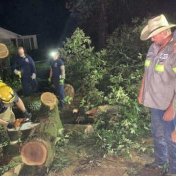 MILLMAC ROAD REOPENED AFTER CLOSED BY OAK TREE