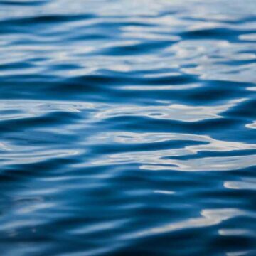 Constable Respond to Boat Accident On Lake Conroe