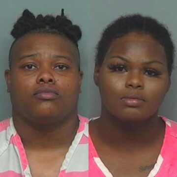 Duo charged with theft of $12K French bulldog pup in Shenandoah