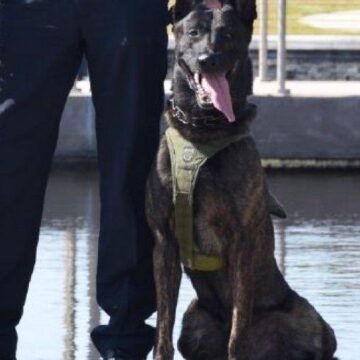 REST IN PEACE K-9 HUMMER