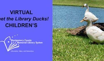 VIRTUAL CHILDREN’S – Meet the Library Ducks!