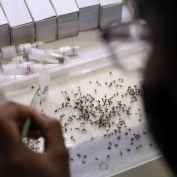 Montgomery County confirms first human West Nile virus case of year