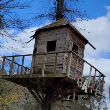 Magnolia restaurant’s landmark tree house almost destroyed by chainsaw-wielding vandal