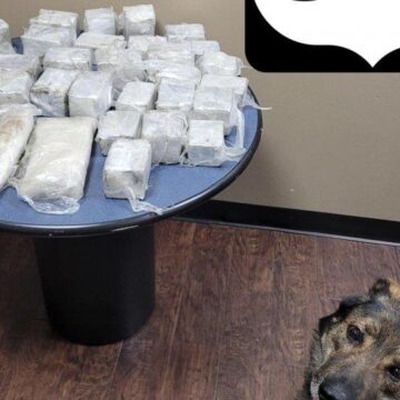 MONTGOMERY COUNTY PRECINCT 4 TAKES 46 POUNDS OF METH OFF THE STREETS