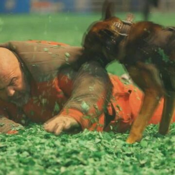 Texas law enforcement canines compete in event hosted by K9s4COPs