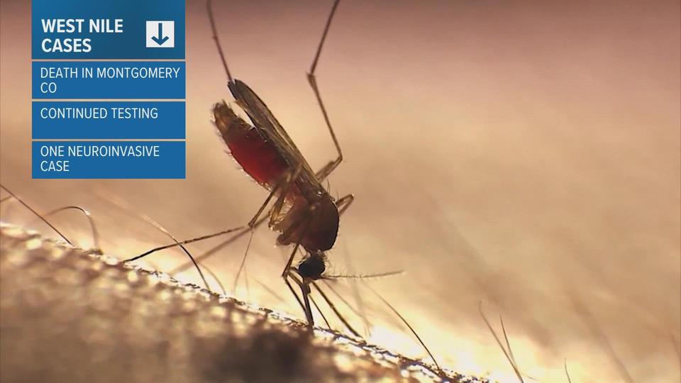 1LmSUw_0goKPDMJ00.jpg Man in his 70s is first West Nile death in 2022 for Montgomery County