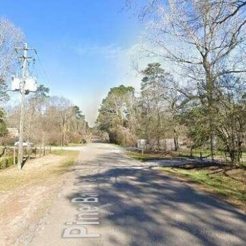 Woman reportedly in ICU after pit bull attack in Magnolia