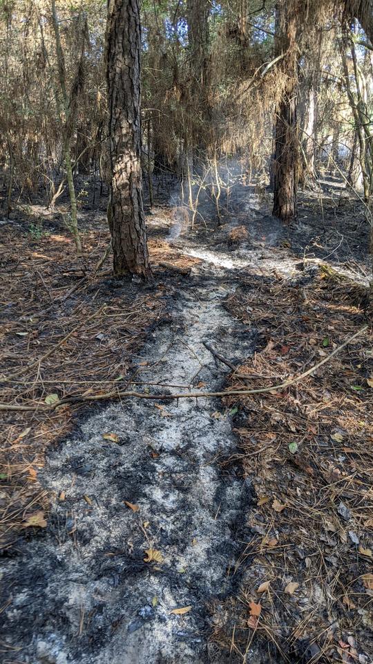 2DZVYN_0hNY2u7K00.jpg Despite recent rain, fire danger persists, says Montgomery County fire marshal