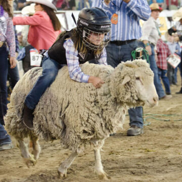 2022 EMC FAIR MUTTON BUSTIN FOR THE KIDS ANNOUNCED