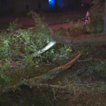 Overnight storms spark power outages, leave trees downed in Houston area