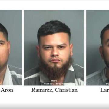 17 roosters and 6 chicks rescued after 3 men arrested for cockfighting in Porter