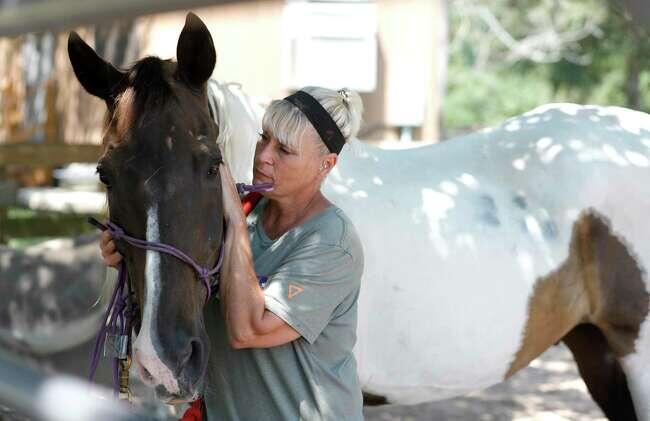 0Alqml_0jlCbkcU00.jpg Celebrate the ‘12 Days of Christmas’ with 12 special Montgomery County nonprofits