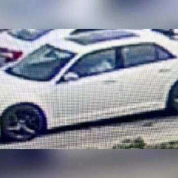 Bank jugging suspects followed woman from New Caney Wells Fargo to Kroger: MCSO