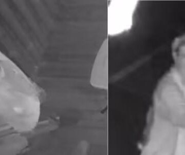 Deputies searching for man who burglarized food truck in Willis