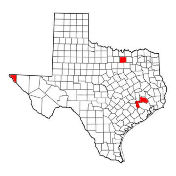 Four Texas Horses Positive for EIA