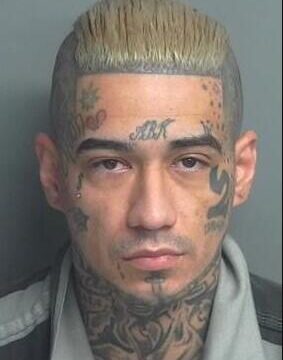 Gang Member Apprehended for Armed Robbery in Magnolia