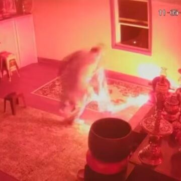 FBI offers up to $10,000 for suspect who threw Molotov cocktail, causing fire at Buddhist temple while monk slept inside