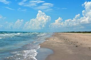 Sharks decapitated, ray mutilated at national seashore, TX officials say. One cited