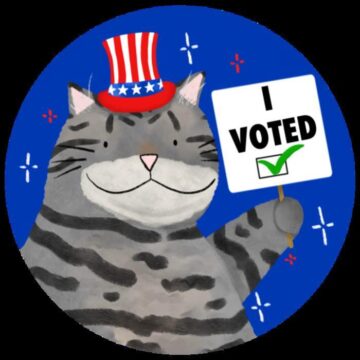 November 2024 election voting questions answered