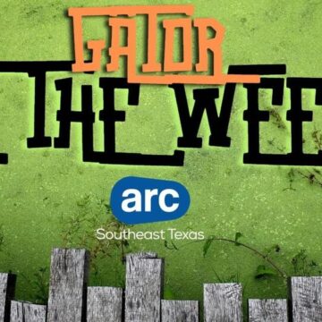 ARC Southeast Texas: Gator of the Week