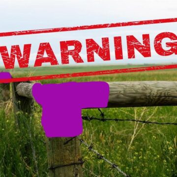 Why Are So Many Fence Posts Painted Purple In Texas?