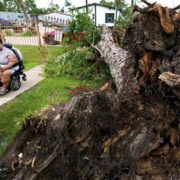 After widespread damage from windstorms, Houston residents worry about hazardous trees in yards