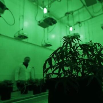 Texas Democrat smokes blunt, bong in pro-weed campaign ad